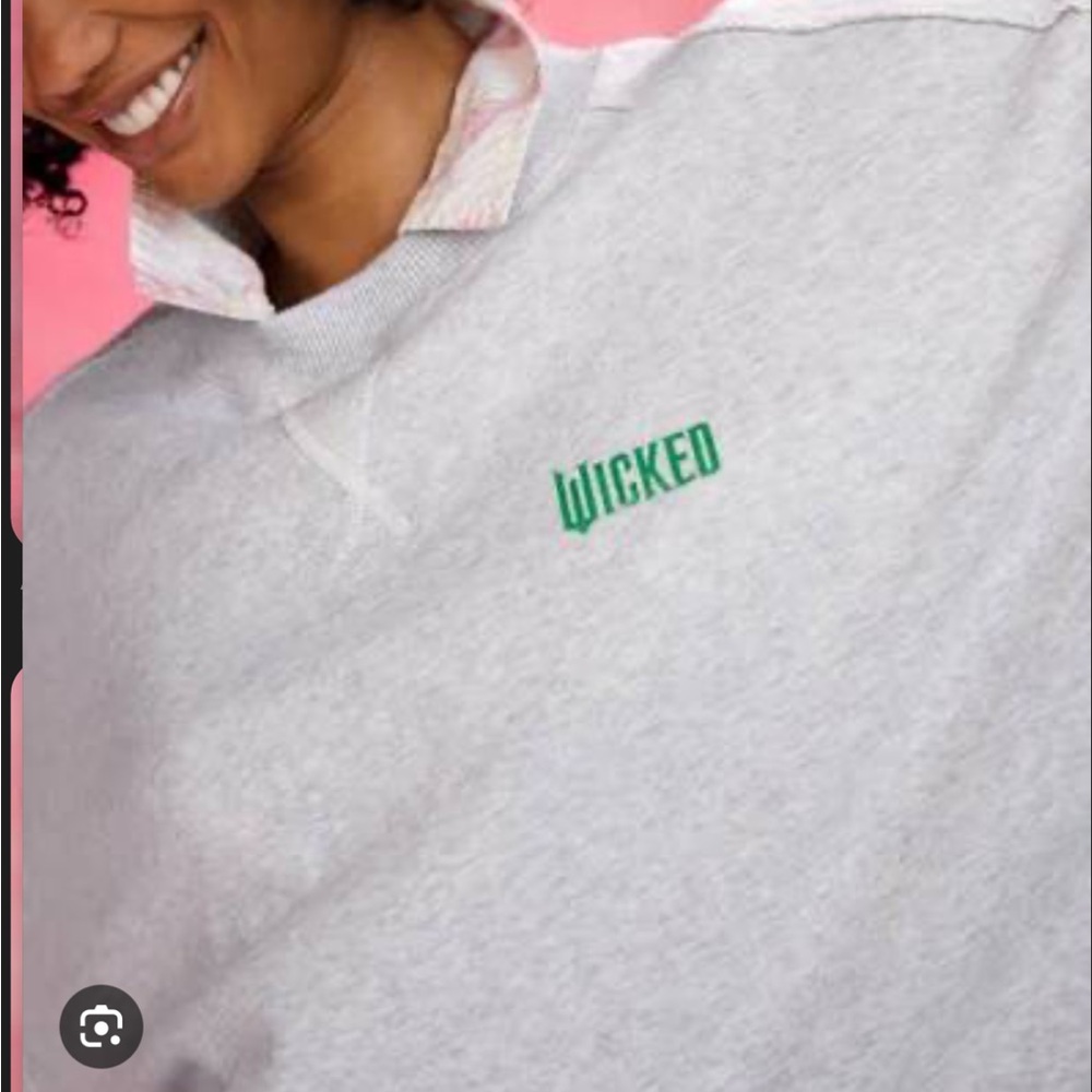 Aerie Wicked Colab Light Gray Crewneck Sweater with Green Detail